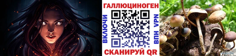 Псилоцибиновые грибы Magic Shrooms  Заволжье 